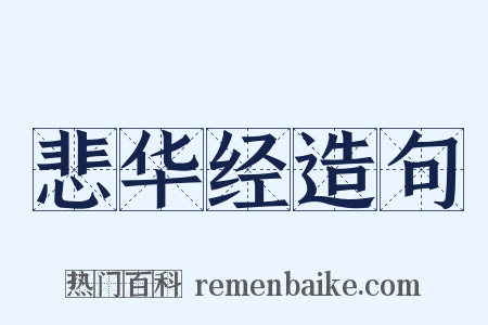 悲华经造句是什么意思的图片